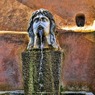 ローマの噴水