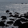 光る海