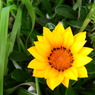 RIMG0610