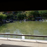 東京　檜町公園