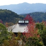 FZ1000 sample7
