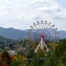 FZ1000 sample9