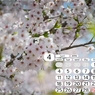 2016年04月です。