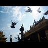 Ever in Nepal