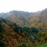 色づく白山連峰
