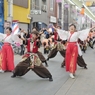 龍馬よさこい⑲