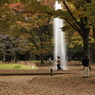 秋噴水