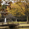 公園も色づく
