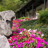 Kowloon Walled City Park
