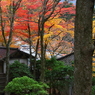 古寺の秋深し