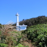 幽霊灯台で遊んでみた－１本のススキ（雄島・楽しい時計回り編）