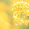 015_nature