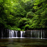 025_nature