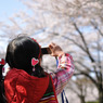 娘、桜撮る。