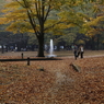 秋を踏みしめて