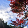 平林寺の空