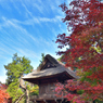 平林寺の山門