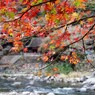 香嵐渓