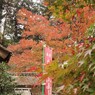 風流ですの～。