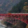 紅葉、トロッコ列車