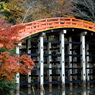 丹生都比売神社の紅葉