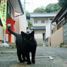 クロネコ郵便局員