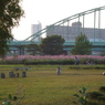 河川敷
