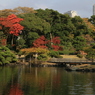 展望なう