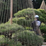 冬支度なう