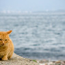俺の海