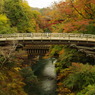 奇橋