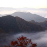 朝霧に包まれて