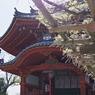 日差し