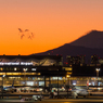 羽田空港国内線ターミナル展望台より夕景富士 /1