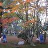 兼六園③