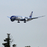 ANA 787-9 JA873A  着陸　