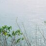 向島