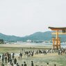 厳島神社