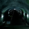 462step,338meter