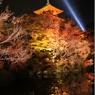 清水寺ライトアップ１
