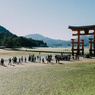 宮島2015 