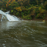 秋の粟又の滝