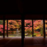 蓮華寺 額縁紅葉