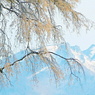 里山からの情景