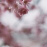 100404z