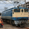 EF65 1133
