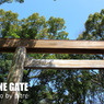shrine gate