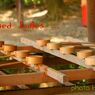 aligned ladles ...