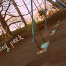 evening park