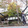 向日神社